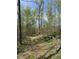 Scenic walking trail winding through the lush, wooded property, perfect for outdoor enjoyment at 8448 E Dobbs Cemetary Rd, Columbus, IN 47201