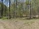 Lush, wooded property with mature trees, offering privacy and a natural setting at 8448 E Dobbs Cemetary Rd, Columbus, IN 47201