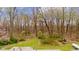 View of backyard bordered by a natural fence of mature trees at 9570 S 300 W, Columbus, IN 47201