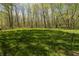 Wide open green backyard with trees surrounding the area at 10912 N County Road 950 E, Brownsburg, IN 46112