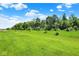 Expansive backyard with lush green lawn and a treeline in the distance at 19602 Atwater Ave, Sheridan, IN 46069
