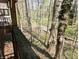 A wooded backyard view from a porch on a sunny day at 21 Osage Ct, Columbus, IN 47201