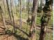 A wooded backyard view on a sunny day at 21 Osage Ct, Columbus, IN 47201