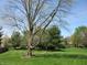 Mature tree stands prominently in a sprawling backyard, providing ample shade and visual interest at 4166 Cobblestone Way, Greenwood, IN 46143