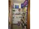 Walk-in pantry with shelving stocked with food and household items at 4166 Cobblestone Way, Greenwood, IN 46143