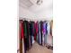 Walk-in closet with ample hanging space and shelving for organized storage, perfect for any wardrobe at 5251 Ladywood Bluff Pl, Indianapolis, IN 46226