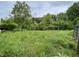 Overgrown field surrounded by lush trees and foliage at 685 N Buffalo Hill Rd, Martinsville, IN 46151