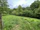Overgrown field surrounded by lush green trees and foliage at 685 N Buffalo Hill Rd, Martinsville, IN 46151