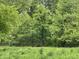 A view of a field surrounded by lush green trees and foliage at 685 N Buffalo Hill Rd, Martinsville, IN 46151