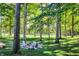 Picturesque backyard with fire pit featuring Adirondack chairs, mature trees and manicured lawn at 10725 Holliday Farms Blvd, Zionsville, IN 46077