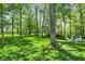 Large backyard with a fire pit and seating, perfect for enjoying nature and relaxing outdoors at 10725 Holliday Farms Blvd, Zionsville, IN 46077