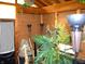 Unique sunroom with wood plank walls and ceiling, decorated with tropical plants and whimsical touches at 14544 Lynn Ave, Fishers, IN 46038