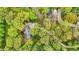 Expansive aerial perspective of property amidst trees, showcasing the long driveway and overall setting at 2920 N Buck Creek Rd, Greenfield, IN 46140