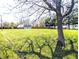 Expansive green lawn, trees, and a view of the house at 3514 Carson Ave, Indianapolis, IN 46227