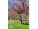 Charming front yard with a flowering tree and white fence enclosing the property at 7037 Indian Lake W Blvd, Indianapolis, IN 46236