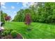 Large backyard with verdant lawn and mature trees offering a private oasis and beautiful views for outdoor enjoyment at 12821 Gloria Dr, Fishers, IN 46037
