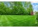Well maintained backyard with lush green grass and mature trees provides a private and serene outdoor space at 12821 Gloria Dr, Fishers, IN 46037
