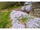A terraced retaining wall is covered in lush greenery and vibrant creeping phlox flowers at 3611 Owster Ln, Indianapolis, IN 46237