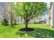 Lush backyard featuring a well-maintained lawn, mature trees, and a patio area with an umbrella table at 5549 Dill Ct, Indianapolis, IN 46237
