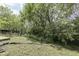 Exterior back yard view featuring a large grassy area and many trees on the lot at 6534 Redland Way, Indianapolis, IN 46217