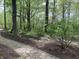 Lush backyard with a stone pathway winding through mature trees and greenery at 10561 Wilson Rd, Brownsburg, IN 46112