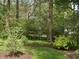 Wooded backyard featuring mature trees, mulch beds, and a decorative birdhouse offering a peaceful and natural setting at 10561 Wilson Rd, Brownsburg, IN 46112