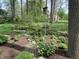 Wooded backyard featuring mature trees, mulch beds, and a decorative birdhouse offering a peaceful and natural setting at 10561 Wilson Rd, Brownsburg, IN 46112