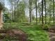 Lush backyard landscape with mature trees and professionally designed mulch beds creating a serene and natural outdoor setting at 10561 Wilson Rd, Brownsburg, IN 46112