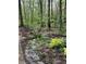 Landscaped backyard featuring a stone walkway, mulch bed and native plants at 10561 Wilson Rd, Brownsburg, IN 46112