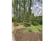 Close up of landscaped backyard featuring an evergreen tree, ground cover, and mulch, creating a natural scene at 10561 Wilson Rd, Brownsburg, IN 46112