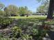 Lush front yard with vibrant flowers, bushes, and blooming trees along a residential street at 244 E Cragmont Dr, Indianapolis, IN 46227