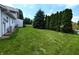 A green grass backyard with a large pine tree and tall green arborvitae providing a secluded space at 4335 River Rd, Columbus, IN 47203