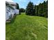 A green grass backyard with a large pine tree and tall green arborvitae providing a secluded space at 4335 River Rd, Columbus, IN 47203