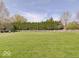 Expansive backyard with lush green grass and mature trees at 6220 Yellow Birch Ct, Avon, IN 46123
