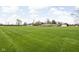 Large backyard features an expansive grassy area, perfect for outdoor activities and enjoying the serene surroundings at 10239 Wilson Rd, Brownsburg, IN 46112