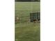 Three deer standing in a backyard with a fence at 3384 Homestretch Dr, Carmel, IN 46032