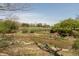 Lush backyard with scenic stream and sprawling greenery, creating a tranquil retreat at 614 Debra Ln, Indianapolis, IN 46217