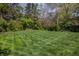 View of green backyard with meticulously stripes at 7602 N Pennsylvania St, Indianapolis, IN 46240