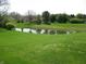 Scenic view of a serene pond surrounded by lush greenery and mature trees at 9045 Stones Bluff Pl, Indianapolis, IN 46113