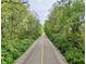 A scenic shot of a paved walking trail lined with lush greenery and tall trees at 9099 Merrill Ct, Fishers, IN 46038