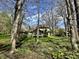 Secluded backyard with mature trees and landscaping, offering privacy and a peaceful setting at 5205 Mosswood Ct, Indianapolis, IN 46254