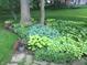 Lush landscaping with a variety of hostas and potted flowers creating a beautiful garden bed at 5205 Mosswood Ct, Indianapolis, IN 46254