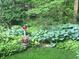 Beautifully landscaped garden with a variety of plants and flowers at 5205 Mosswood Ct, Indianapolis, IN 46254