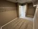 Spacious walk-in closet offers plenty of storage on carpeted floors at 5529 W Turnbuckle Pl, McCordsville, IN 46055