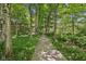 Scenic community path surrounded by lush greenery and shade trees at 7323 Elm Ridge Dr, Indianapolis, IN 46236