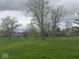 A spacious backyard is filled with green grass and a variety of trees under a cloudy sky at 7334 E 14Th St, Indianapolis, IN 46219