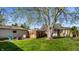 Spacious backyard featuring lush greenery, mature tree, and outdoor seating at 1031 N Lesley Ave, Indianapolis, IN 46219