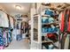 Spacious walk-in closet with shelving units, hanging rods, and plenty of storage space for clothing and accessories at 14386 Salem E Dr, Carmel, IN 46033