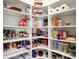 Organized walk-in pantry with shelves for storage of food, paper towels, and household goods at 6829 Whitetail Woods Ct, Bargersville, IN 46106