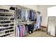 A walk-in closet with custom built in shelving, hanging rods, and carpet flooring at 6829 Whitetail Woods Ct, Bargersville, IN 46106